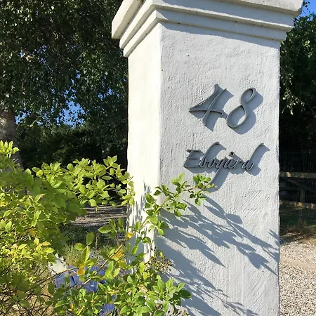 Ebogaard