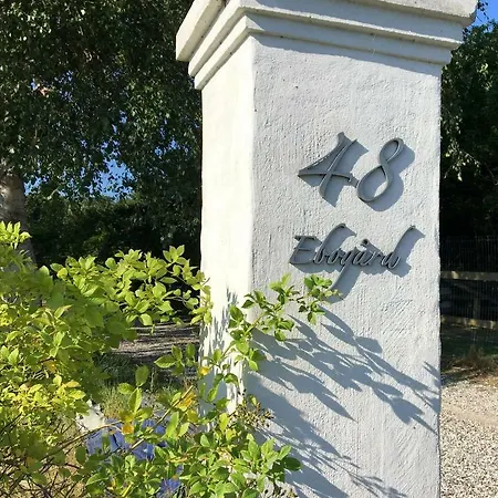 Ebogaard *